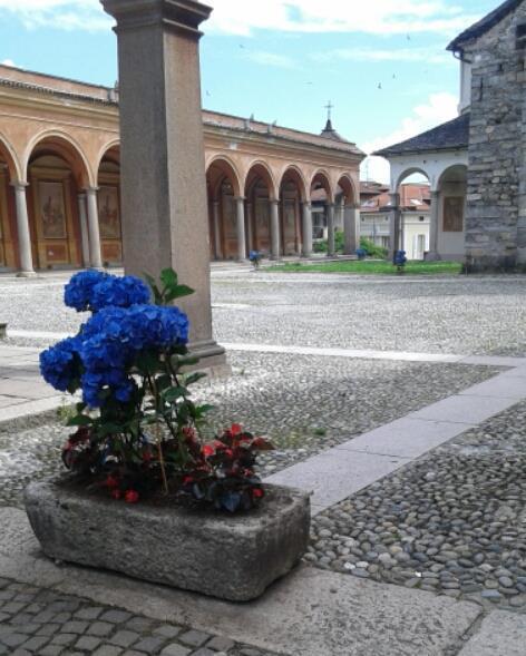 Hotel Elvezia Lake Maggiore Ngoại thất bức ảnh